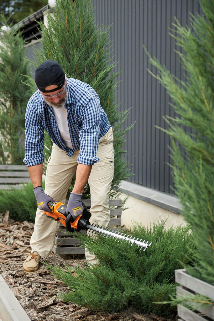 Кущоріз акумуляторний SEQUOIA SBHT2020T-QV SBHT2020T-QV - Зображення 13