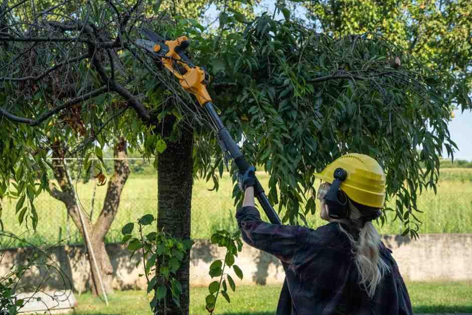 Мини-пила цепная аккумуляторная STIGA PR100eKit - Изображение 13