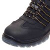 Обувь рабочая NICKEL DeWALT DWF50093-132-9 - Изображение 17
