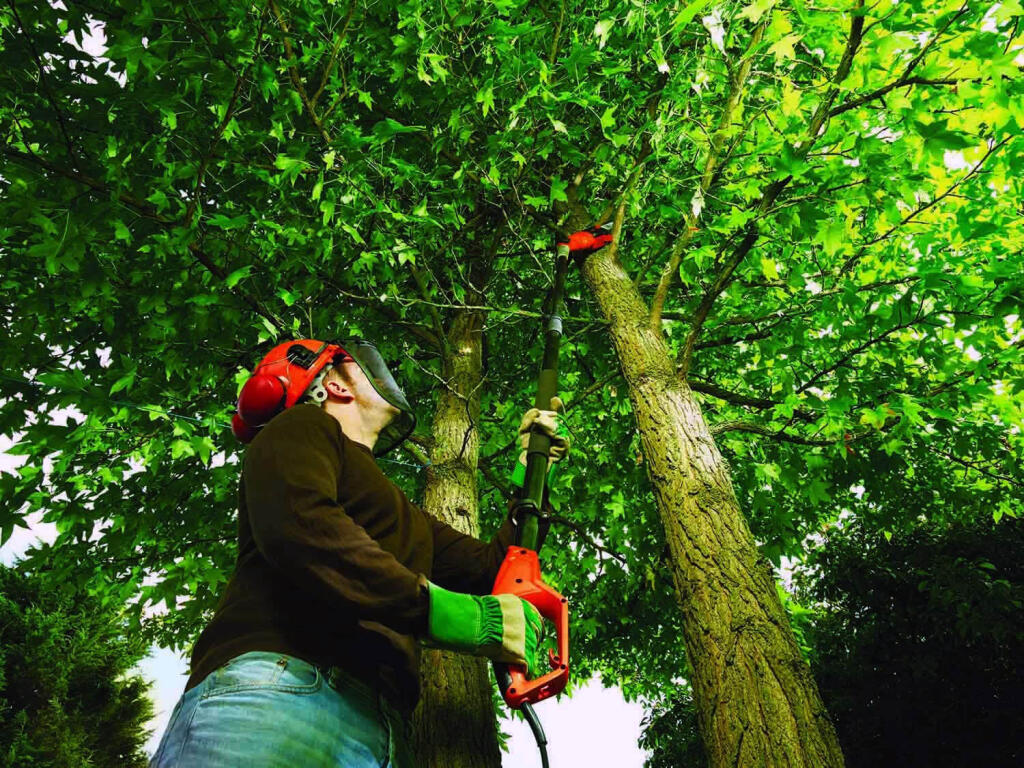 Висоторіз електричний зі штангою BLACK+DECKER PS PS7525 - Зображення 6