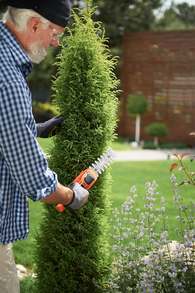 Кущоріз-ножиці акумуляторні SEQUOIA SBC7213 SBC7213 - Зображення 12