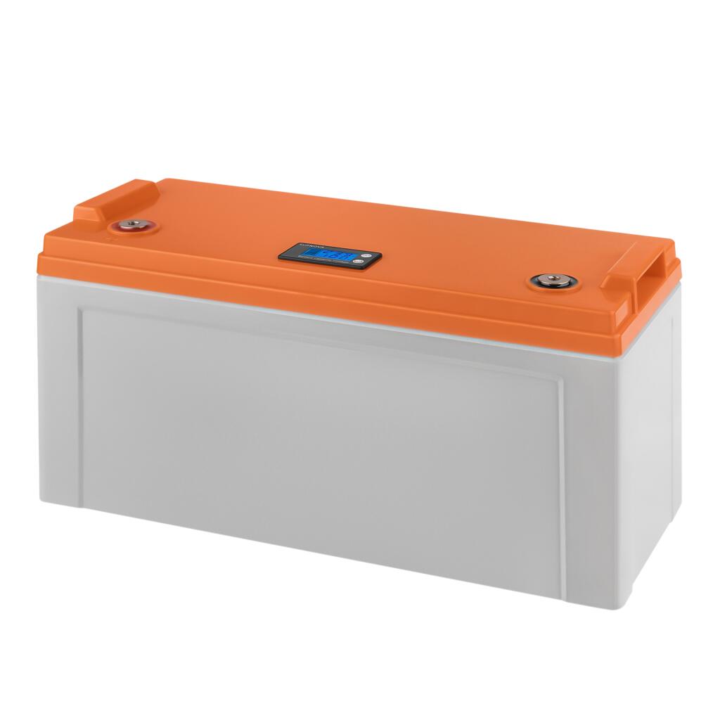 Аккумуляторный корпус LP12-120 с LCD дисплеем - Изображение 2